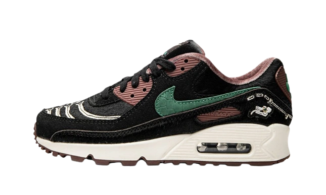 Photo du produit Nike Air Max 90 Siempre Familia (W)