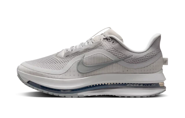 Nike Pegasus Premium 'Vast Grey' product photo