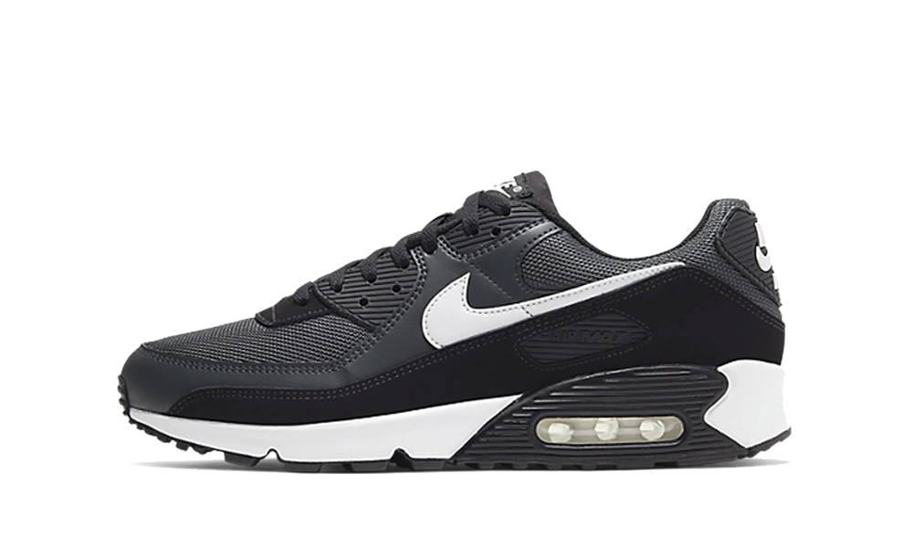 Photo du produit Nike Air Max 90 Iron Grey