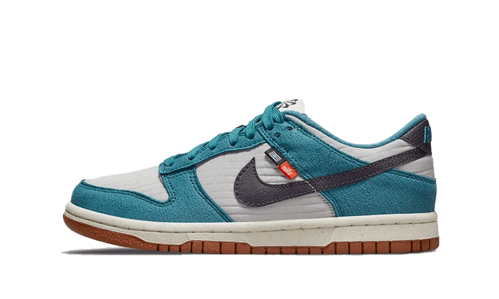 Nike Dunk Low SE Toasty Rift Blue (GS) product photo
