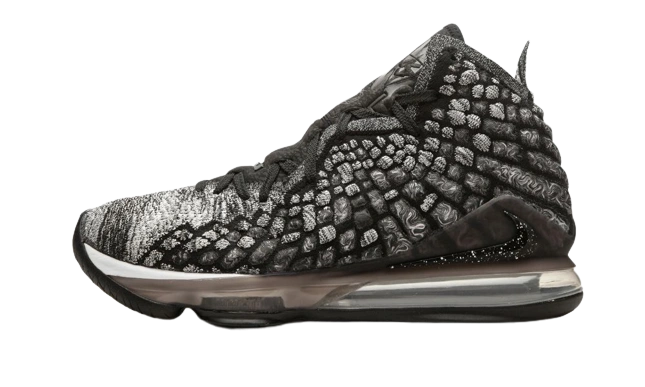 Nike LeBron 17 Black White product photo