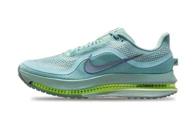 Nike Air Zoom Pegasus Premium Cannon product photo