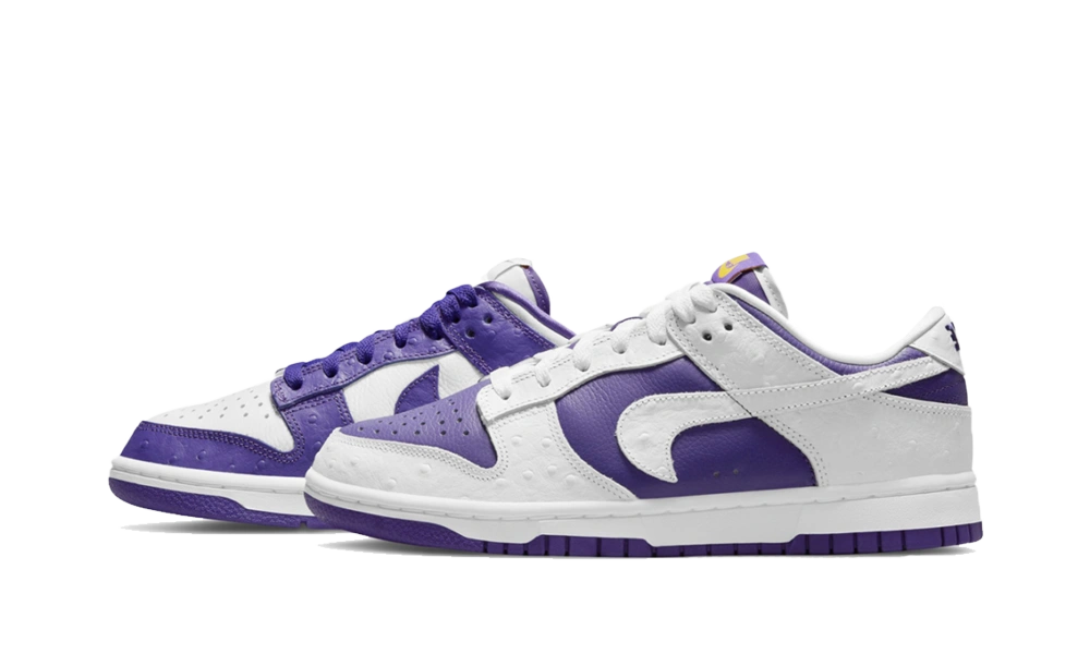 Nike Dunk Low Flip the Old School (W) product photo