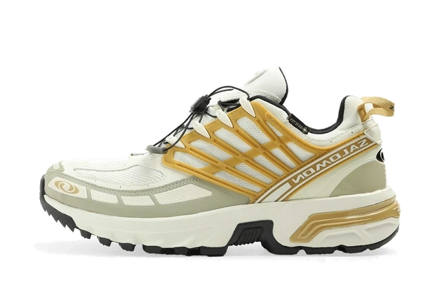 Salomon Acs Pro Gore-Tex Antelope Tea Produktfoto