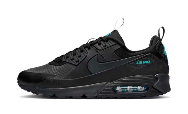 Photo du produit Nike Air Max 90 'Black & Dusty Cactus'