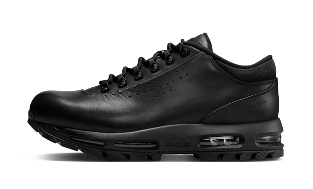 Photo du produit Nike Air Max Goadome Low Black