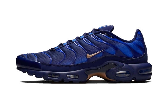 Photo du produit Nike Air Max Plus French Football Federation