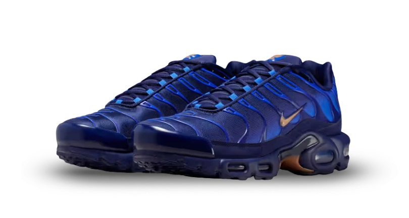 Nike Air Max Plus French Football Federation - Image 1