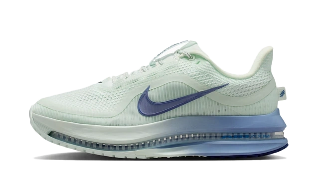 Nike Pegasus Premium 'Barely Green & Work Blue' (W) productfoto