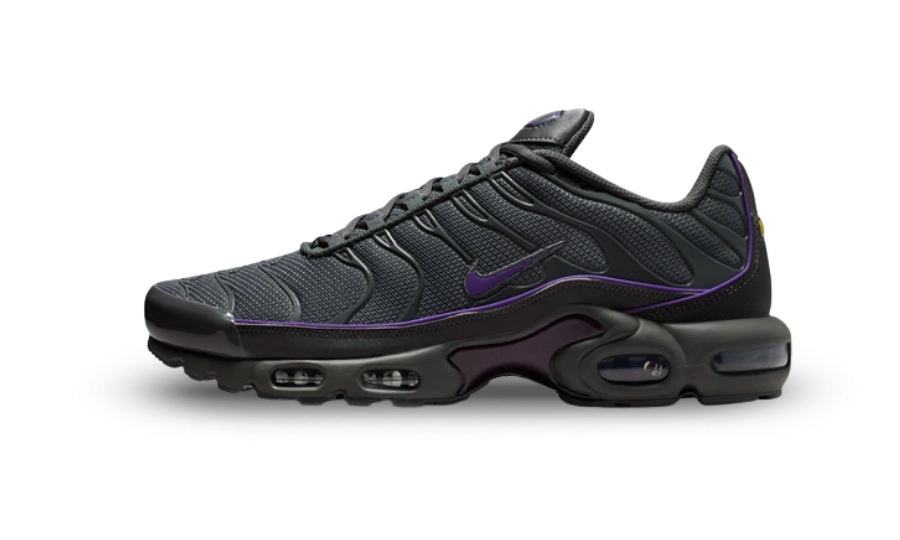 Photo du produit Nike Air Max Plus OG Iron Grey Wild Grape