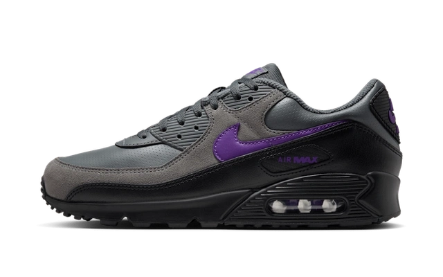 Photo du produit Nike Air Max 90 Iron Grey Wild Grape