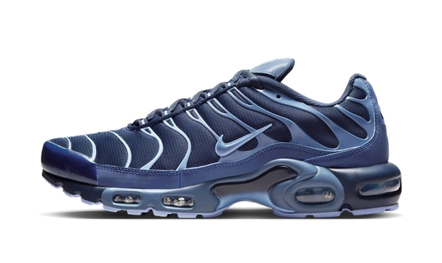 Photo du produit Nike Air Max Plus Obsidian Aluminum