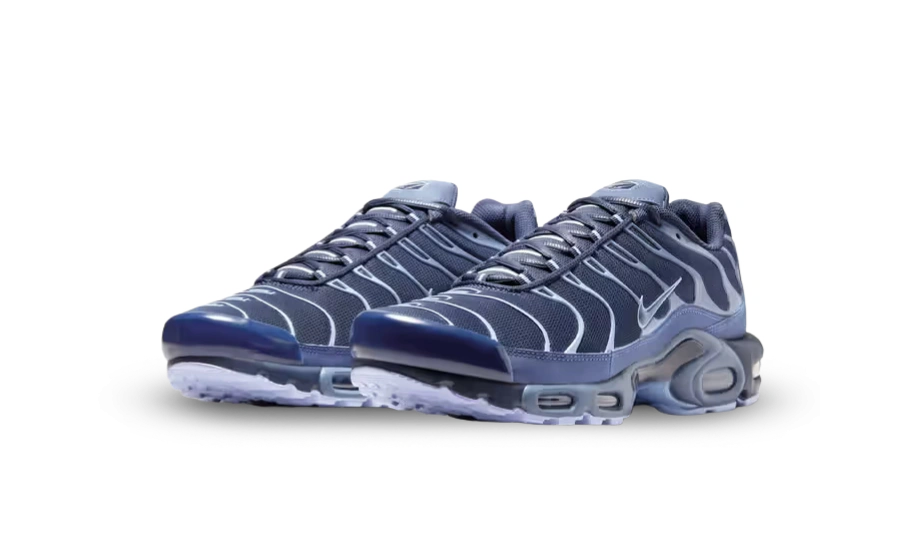 Nike Air Max Plus Obsidian Aluminum - Image 1