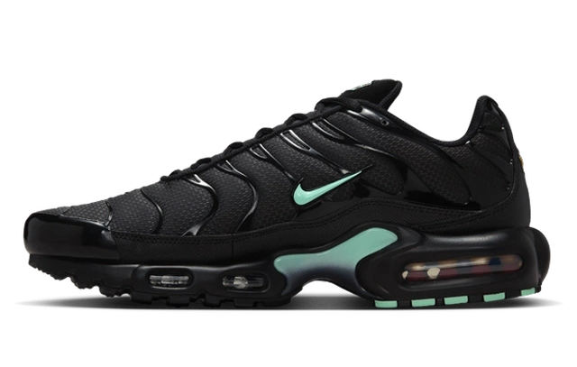 Photo du produit Nike Air Max Plus Black Mint Green