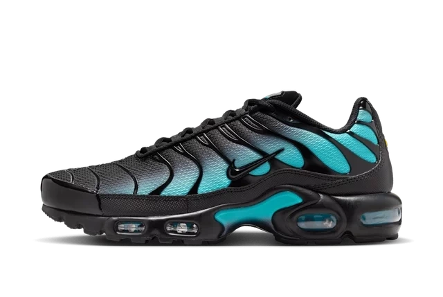 Photo du produit Nike Air Max Plus Black Dusty Cactus