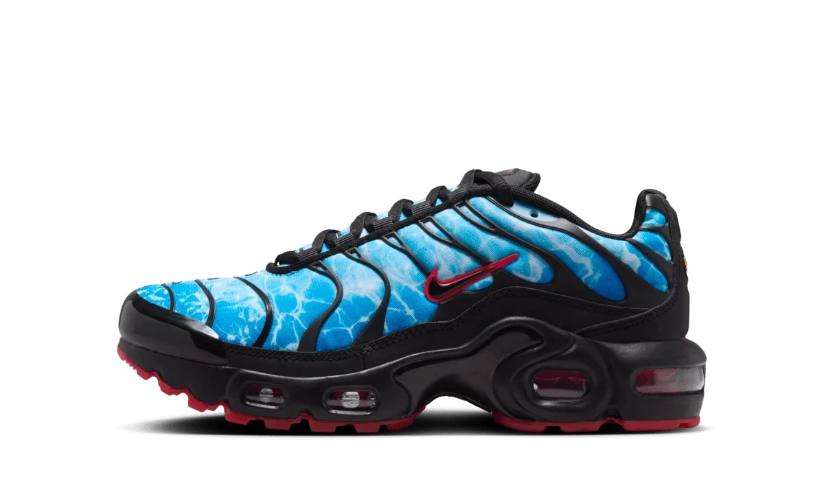Photo du produit Nike Air Max Plus 'Photo Blue' (GS)