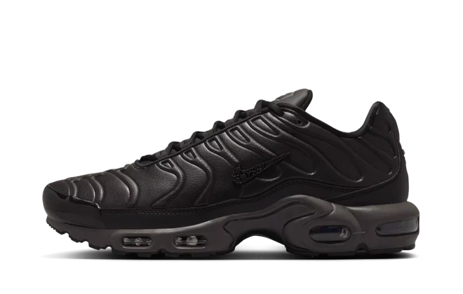 Photo du produit Nike Air Max Plus Premium Paris
