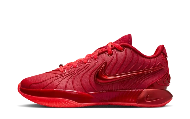 Nike LeBron 21 James Gang product photo