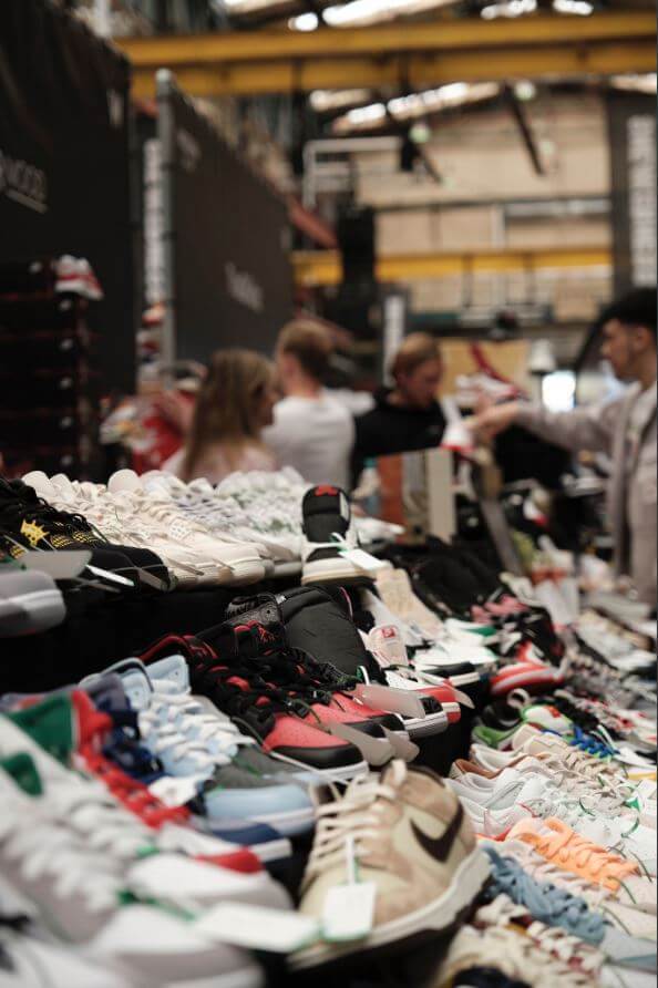 sustainability plant