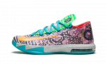 Nike KD 6 What the KD