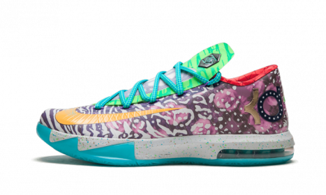 Nike KD 6 What the KD