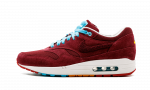 Nike Air Max 1 Parra Patta “Cherrywood”