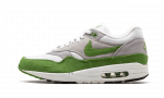 Nike Air Max 1 Patta 5th Anniv Green