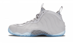 Nike Air Foamposite One Wolf Grey Suede