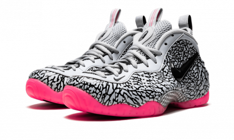 Nike Air Foamposite Pro Elephant Print