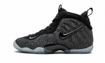 Nike Air Foamposite Pro Wool Fleece