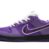 Nike SB Dunk Low Concepts Purple Lobster