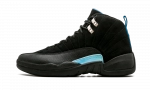 Jordan 12 Retro Nubuck (2009)