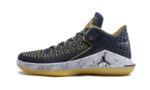 Jordan XXXII Low Michigan