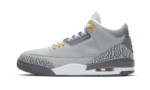 Jordan 3 Retro Cool Grey (2021)