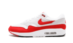 Nike Air Max 1 Anniversary Red (2017/2018 Restock Pair)