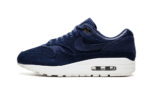 Nike Air Max 1 London Cloth Company (W)