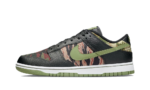 Nike Dunk Low Crazy Camo