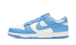 Nike Dunk Low Coast (W)