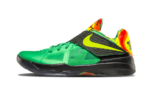 Nike KD 4 Weatherman