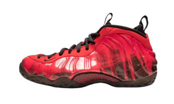 Nike Air Foamposite One Doernbecher