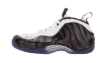 Nike Air Foamposite One Concord