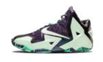 Nike LeBron 11 NOLA Gumbo League Gator King