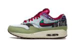 Nike Air Max 1 SP Concepts Mellow