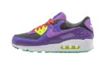 Nike Air Max 90 Violet Blend