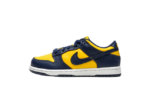 Nike Dunk Low Michigan (2021) (PS)