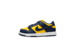 Nike Dunk Low Michigan (2021) (TD)