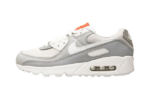 Nike Air Max 90 Light Smoke Grey (W)