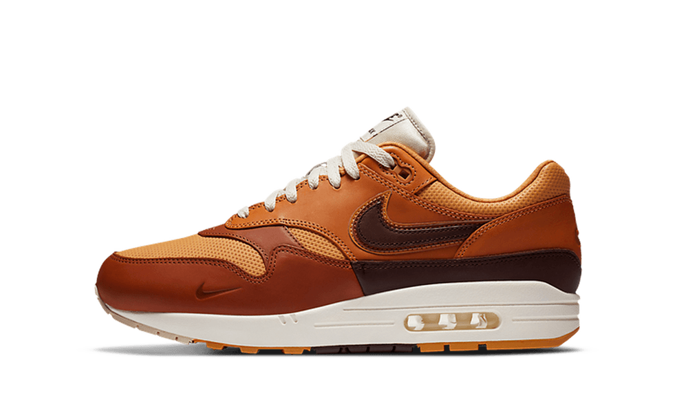 Nike Air Max 1 SNKRS Day Brown