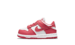 Nike Dunk Low White Gypsy Rose (TD)