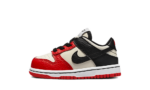 Nike Dunk Low EMB NBA 75th Anniversary Chicago (TD)